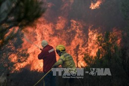 Bồ Đào Nha ban bố tình trạng thảm họa do cháy rừng